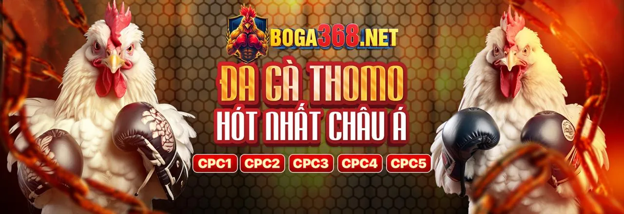 Mẹo an toàn khi giao dịch ip88 bet
