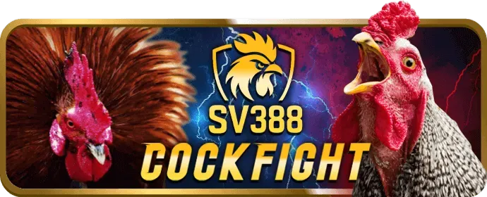 Giới thiệu nền tảng ip88 bet